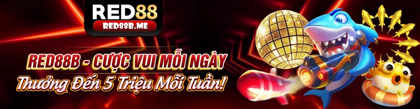 Điều Khoản Dịch Vụ bo88bet